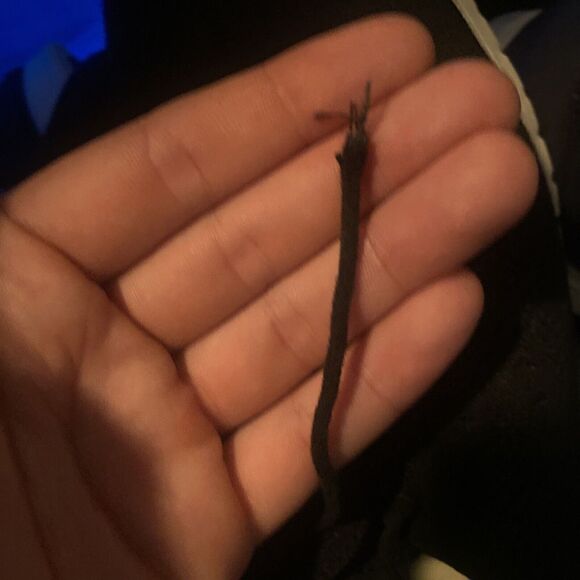 Cole Haan W06723 Zerogrand Solid Knit Wing Tip Oxford Shoes Women's Size 11 B - Picture 11 of 11